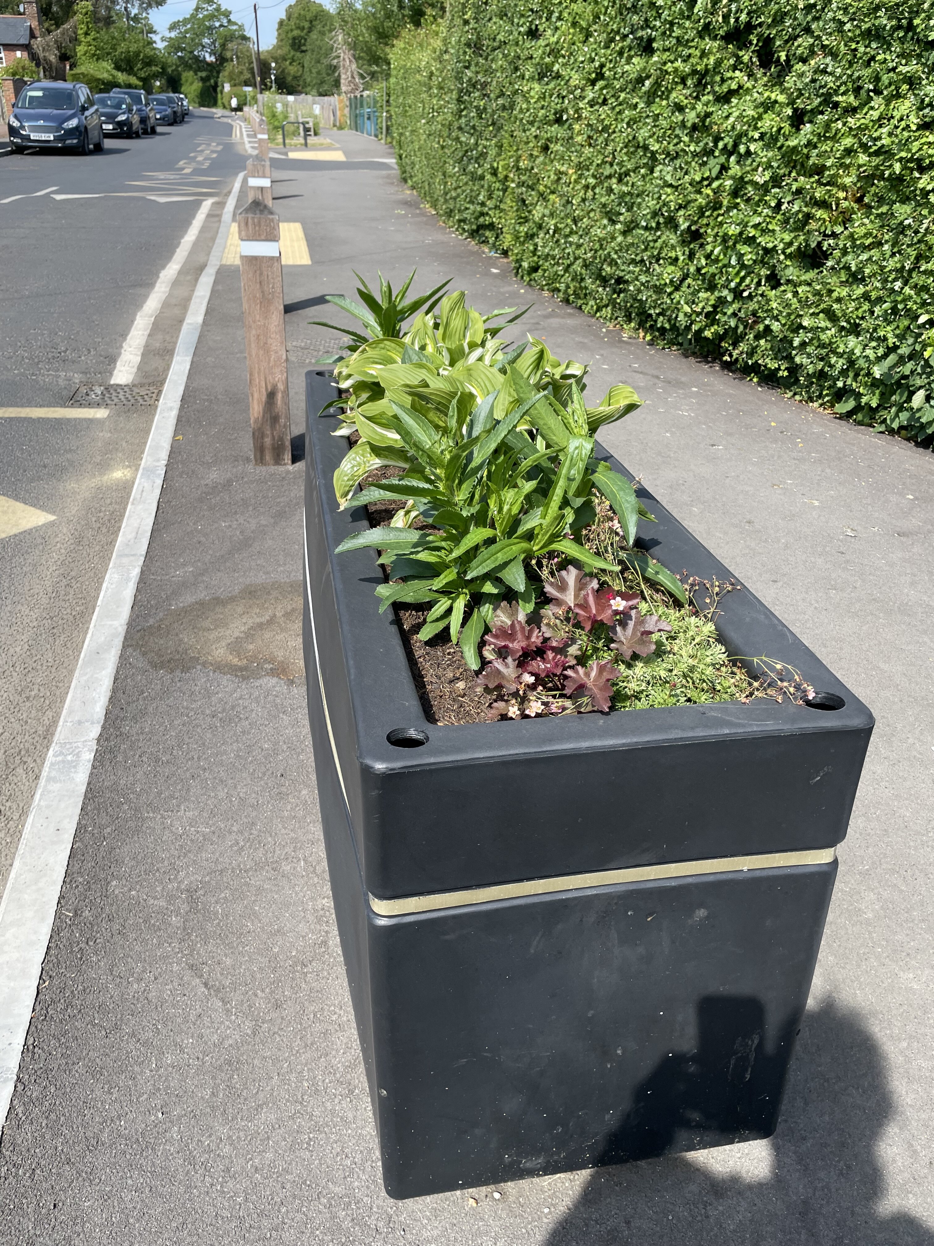 Wheelers Lane Gardening